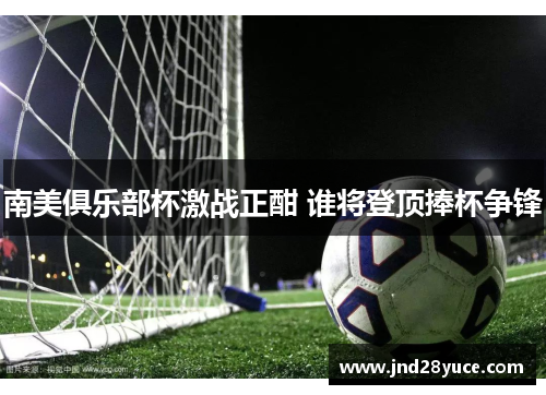南美俱乐部杯激战正酣 谁将登顶捧杯争锋 南美俱乐部杯激战正酣 谁将登顶捧杯争锋