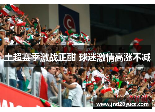 土超赛季激战正酣 球迷激情高涨不减 土超赛季激战正酣 球迷激情高涨不减