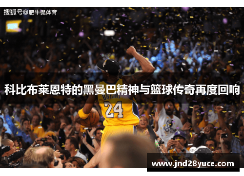 科比布莱恩特的黑曼巴精神与篮球传奇再度回响 科比布莱恩特的黑曼巴精神与篮球传奇再度回响